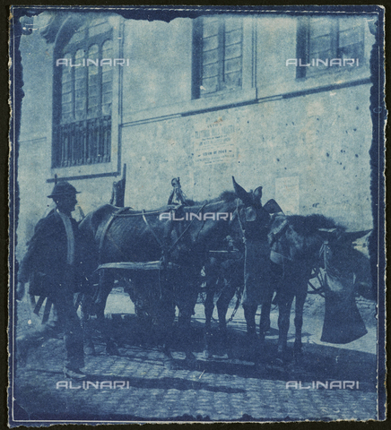 FBQ-F-001240-0000 - Due cavalli legati ad un carro in sosta ripresi mentre mangiano la biada - Data dello scatto: 1882-1887 ca. - Archivi Alinari, Firenze