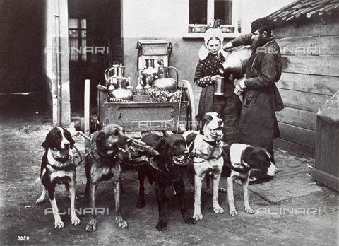 FBQ-F-002579-0000 - Couple of North European peasants shown next to a wagon drawn by a team of dogs. The man is pouring something from a metal pitcher into a mug the woman holds - Date of photography: 1880 - 1900 ca. - Alinari Archives, Florence