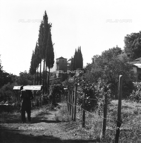 FCA-F-000140-0000 - Vegetable garden of Mount Athos, Greece - Date of photography: 1950-1960 - Alinari Archives, Florence