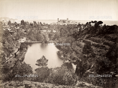 FCC-F-012046-0000 - Forested landscape in the environs of Cannes. - Date of photography: 1880 ca. - Alinari Archives, Florence