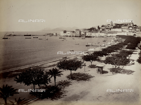 FCC-F-012049-0000 - The shoreline of Cannes. - Date of photography: 1880 ca. - Alinari Archives, Florence
