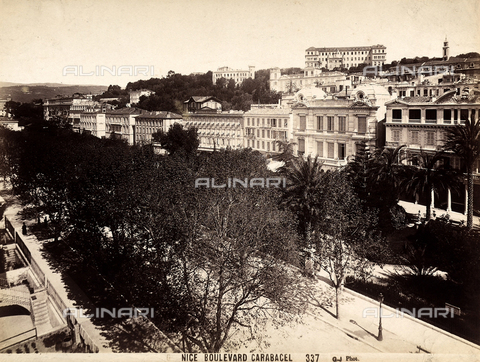 FCC-F-012058-0000 - View of the Boulevard Carabacel, in Nice - Date of photography: 1890 ca. - Alinari Archives, Florence