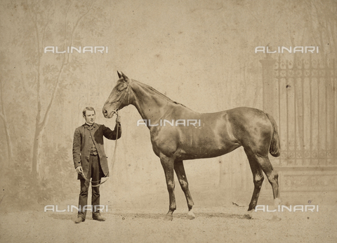 FCC-F-012889-0000 - Portrait of a young man with a horse. - Date of photography: 1900 ca. - Alinari Archives, Florence