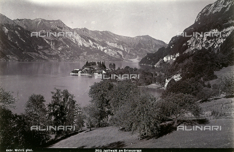 FCC-F-015126-0000 - Panoramic view of Brienzersee lake, in Switzerland - Date of photography: 1900 ca. - Alinari Archives, Florence