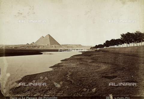 FCC-F-016194-0000 - View of the planelands around Cairo and the Pyramids - Date of photography: 1880 - 1890 ca. - Alinari Archives, Florence