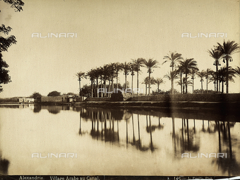 FCC-F-016205-0000 - A canal of Alexandria, Egypt and an Arab village - Date of photography: 1880 - 1890 ca. - Alinari Archives, Florence