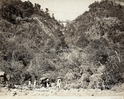 FCC-F-016782-0000 - Wooded landscape in Mexico - Date of photography: 1880-1890 ca. - Alinari Archives, Florence