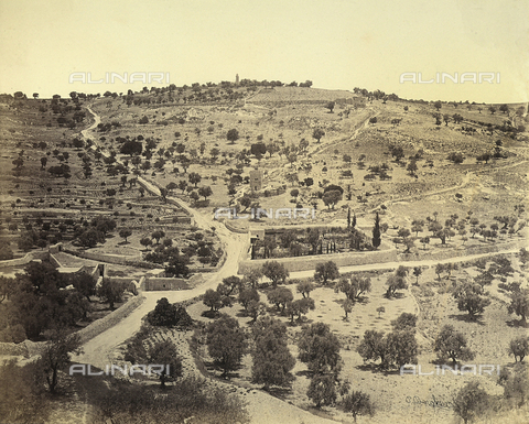 FCC-F-022680-0000 - Panoramic view of the Garden of Gethsemane, Jerusalem - Date of photography: 1870 - 1880 ca. - Alinari Archives, Florence