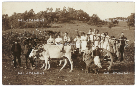 FVD-S-006542-0A43 - Tour members posing on a farm cart - Date of photography: 1905-1915 - Donazione Biondi / Alinari Archives, Florence