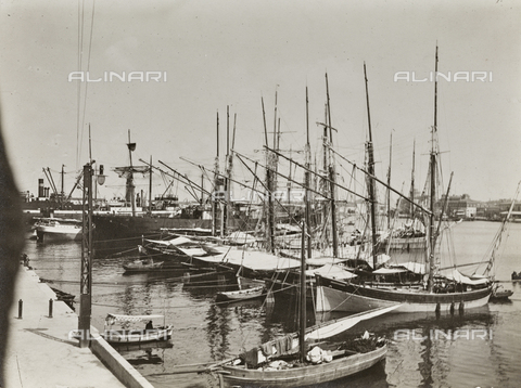 FVQ-F-008936-0000 - Sailboats in the port of Livorno - Date of photography: 1920 ca. - Alinari Archives, Florence