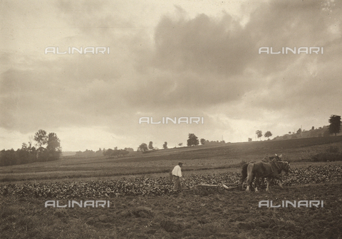FVQ-F-057206-0000 - Farmer working with some horses in a field - Date of photography: 1900 ca. - Alinari Archives, Florence