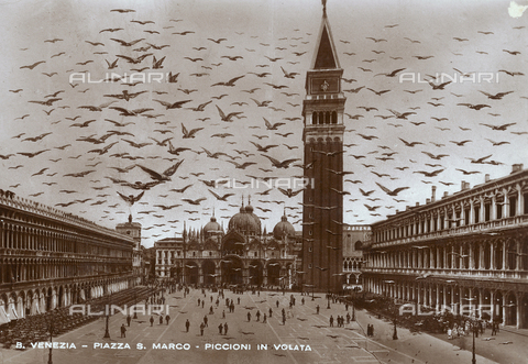 FVQ-F-096107-0000 - Venice, St. Mark's Square with pigeons in flight, postcard - Date of photography: 1910 ca. - Alinari Archives, Florence