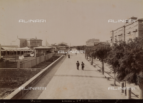 FVQ-F-105717-0000 - Viale Regina Margherita in Livorno - Date of photography: 1890 ca. - Alinari Archives, Florence