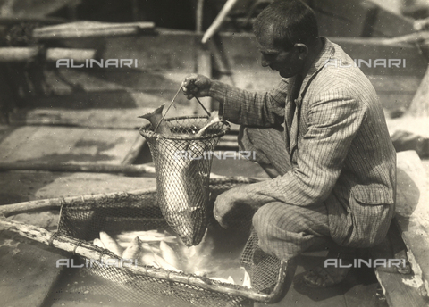 FVQ-F-138992-0000 - A Hungarian fisherman, on a boat, holds a net full of fish. - Date of photography: 1928 - 1935 - Alinari Archives, Florence