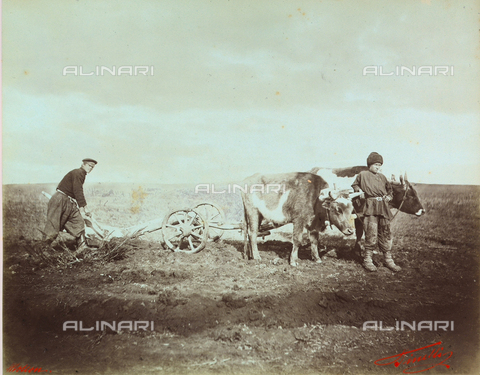 FVQ-F-175910-0000 - Portrait of farmers, Moscow, Russia - Date of photography: 1890 circa - Alinari Archives, Florence