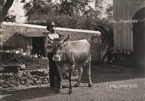 FVQ-F-198637-0000 - Contadino con una mucca - Data dello scatto: 1880 ca. - Archivi Alinari, Firenze