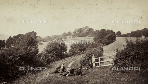 FVQ-F-210528-0000 - Campagna vicino a Winchelsea, nei dintorni di hastings, in Inghilterra - Data dello scatto: 1865 - Archivi Alinari, Firenze