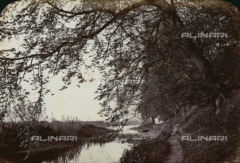 FVQ-F-210604-0000 - Landscape of Clifton Grove, near Nottinham, Great Britain - Date of photography: 1866 - Alinari Archives, Florence