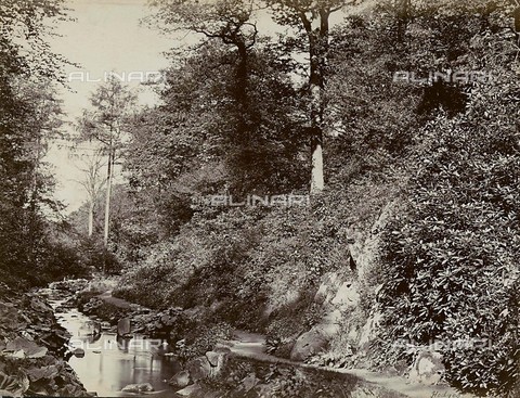 FVQ-F-210606-0000 - Paesaggio boschivo con torrente del Grace Dieu Park, nel Leicestershire. Gran Bretagna - Data dello scatto: 1865 - Archivi Alinari, Firenze