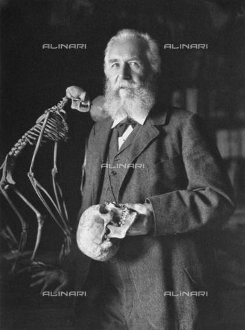 IMA-F-451823-0000 - Ernst Heinrich Haeckel, zoologo tedesco, 1904 - Data dello scatto: 1904 - brandstaetter images /Archivi Alinari