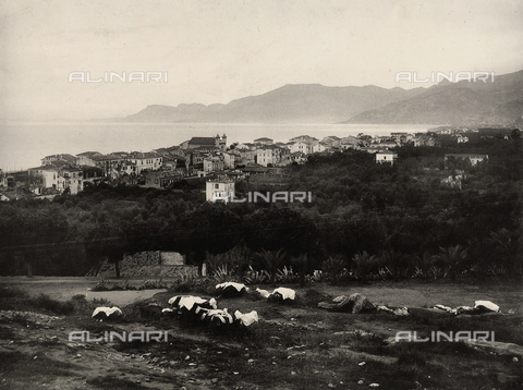 KRQ-F-001313-0000 - View of Bordighera towards the sea. In the foreground, washing hanging out to dry - Date of photography: 1890 - 1900 ca. - Alinari Archives, Florence