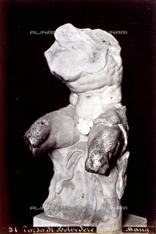 MFC-A-004674-0037 - The 'Belvedere Torso' sculpture of a mythological giant seated on a feline skin. The famous neo-attic work is in the Vatican Museums - Date of photography: 1870-1880 ca. - Alinari Archives, Florence