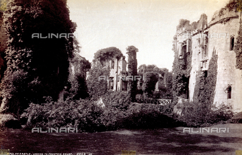 MFC-F-001380-0000 - Ruins of Raglan Castle in Great Britain. They are almost entirely overgrown with ivy - Date of photography: 1870-1890 ca. - Alinari Archives, Florence