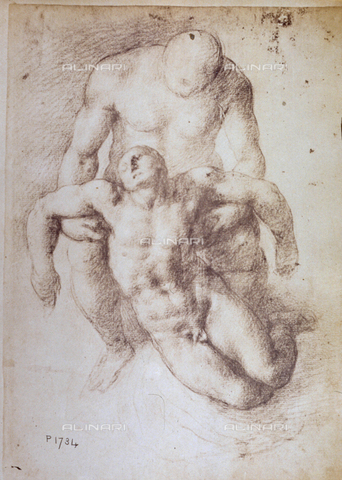 MFC-F-001773-0000 - Study by Michelangelo for a 'Deposition' - Date of photography: 1865 ca. - Alinari Archives, Florence