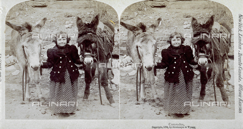 MFC-F-001992-0000 - Full-length portrait of a little girl between two donkeys - Date of photography: 1894 - Alinari Archives, Florence