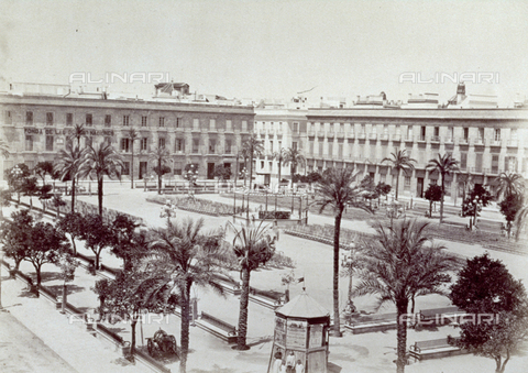 MFC-F-003119-0000 - Plaza Nueva (or S. Fernando) in Seville, decorated with palm trees and benches - Date of photography: 1870-1880 ca - Alinari Archives, Florence