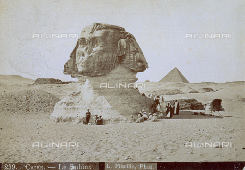 MFC-S-001133-0008 - The Sphinx of the Pharaoh Chefren (Khafre) in the Valley of Giza in Egypt - Date of photography: 1880-1890 - Alinari Archives, Florence