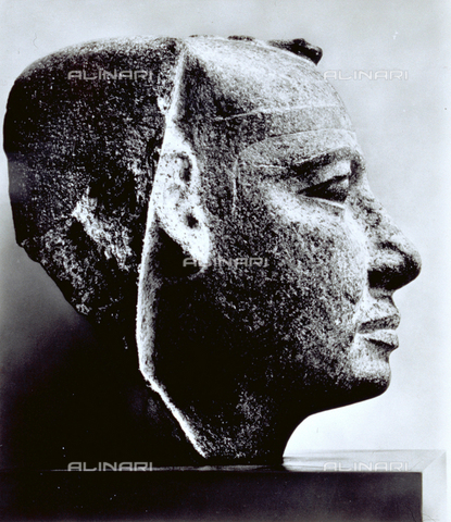 MFC-S-001350-0007 - Probable head of a sphinx, unfinished, of pharoah Userkaf (5th dynasty). The statue is in the Museum of Cairo, in Egypt - Date of photography: 1958 - Alinari Archives, Florence
