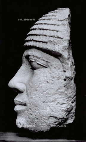 MFC-S-001350-0008 - Fragment of a sculpture of a male head, in profile. The piece dates to the 5th dynasty and is in the Museum of Cairo, in Egypt - Date of photography: 1958 - Alinari Archives, Florence