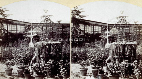 MFC-S-001916-0002 - View of a garden installed for the 1861 italian exposition in Florence - Date of photography: 09/1861 - Alinari Archives, Florence