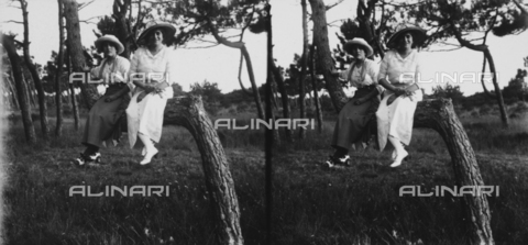 PCA-F-000007-0000 - Stereoscopic view of two young women seated on the trunk of a pine tree - Date of photography: 1914 ca. - Alinari Archives, Florence