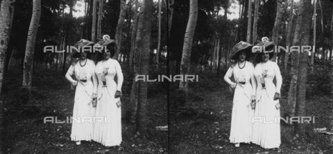PCA-F-000031-0000 - Stereoscopia raffigurante due eleganti signore in pineta - Data dello scatto: 1914 ca. - Archivi Alinari, Firenze