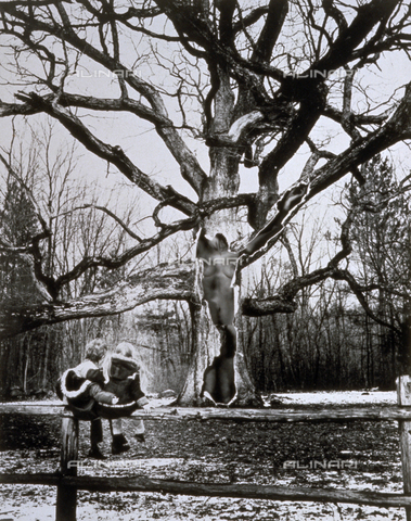 PDC-F-001401-0000 - Two children observing a large tree inside which, thanks to a photomontage, the nude body of a woman has been placed - Date of photography: 1972 - Alinari Archives, Florence