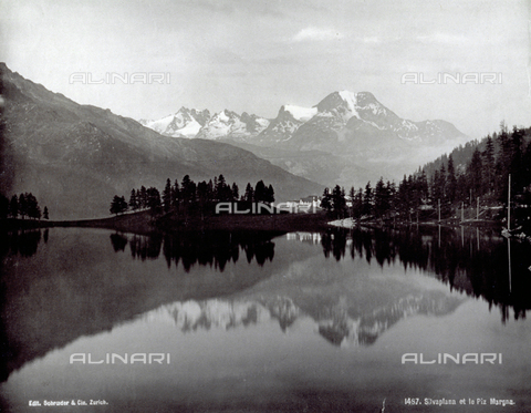 PDC-F-001934-0000 - View of Silvaplana in Switzerland, important holiday and winter sports resort. In the background, the snow-covered peaks of Pizzo Margna; in the foreground, the lake surrounded by fir trees - Date of photography: 1870-1890 ca. - Alinari Archives, Florence