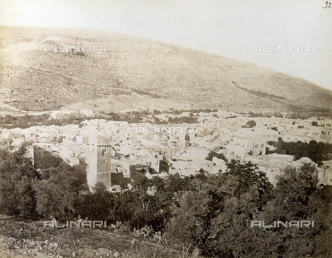 PDC-S-000275-0028 - The city of Naplusa with dense vegetation in the foreground - Date of photography: 1860-1870 - Alinari Archives, Florence