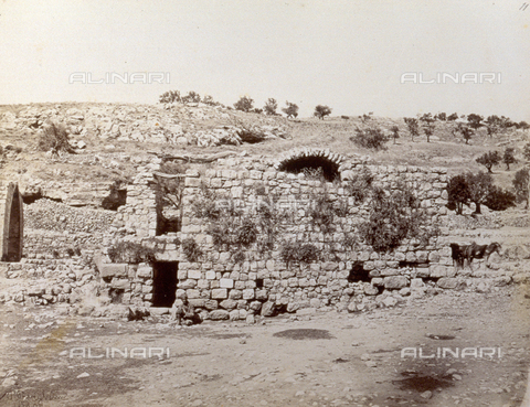 PDC-S-000275-0031 - Ruins near Parosch (?) - Date of photography: 1860-1870 - Alinari Archives, Florence