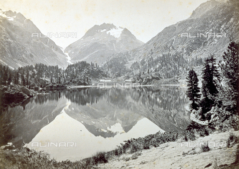 PDC-S-000459-0003 - Moutain landscape with a lake surrounded by a scattering of evergreens. The panorama is closed at the horizon by mountains with snow-capped peaks which, like the trees, are mirrored in the calm waters of the lake - Date of photography: 1860 -1880 ca. - Alinari Archives, Florence