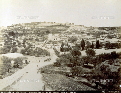 PDC-S-000752-0009 - Panorama of Gethsemane (Jerusalem) with olive trees - Date of photography: 1880-1900 - Alinari Archives, Florence