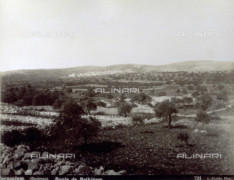 PDC-S-000752-0010 - Wide angle panorama of a flat area full of olive trees and dry-stone walls. In the distance, Jerusalem - Date of photography: 1880-1900 - Alinari Archives, Florence