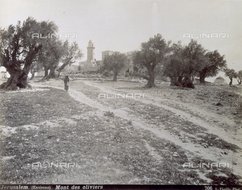 PDC-S-000752-0017 - Mount of olives in Jerusalem with the centuries old trees and the religious architecture. In the foreground a woman with a child - Date of photography: 1880-1900 - Alinari Archives, Florence