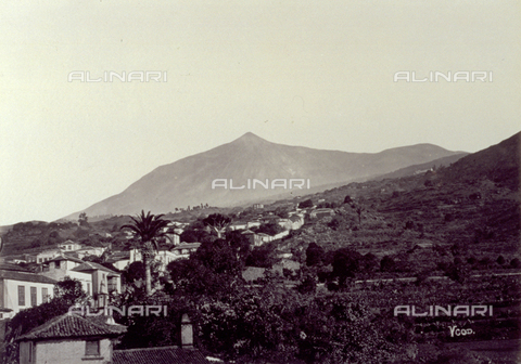 PDC-S-002835-0006 - Panorama of Tenerife. In the foreground, houses - Date of photography: 1870 -1880 ca. - Alinari Archives, Florence