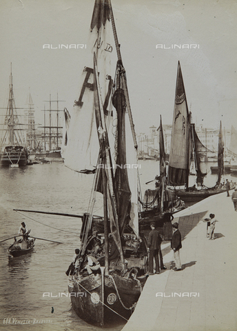 REA-F-000875-0000 - Bragozzi, fishing boats in the lagoon of Venice - Date of photography: 1860-1870 ca. - Alinari Archives, Florence