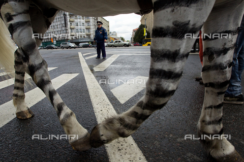 RNA-F-752059-0000 - Moscow Traffic Police action "Safe Zebra Crossings" meant to enhance kids' safety on the roads - Date of photography: 09/03/2010 - Mikhail Fomichev / Sputnik/ Alinari Archives
