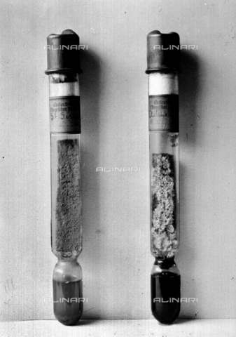 RVA-S-003218-0002 - Germs and serums, tubes for culture of mushrooms lower made by Louis Pasteur ( 1822-1895 ), a chemist and French biologist - Jacques Boyer / Roger-Viollet/Alinari