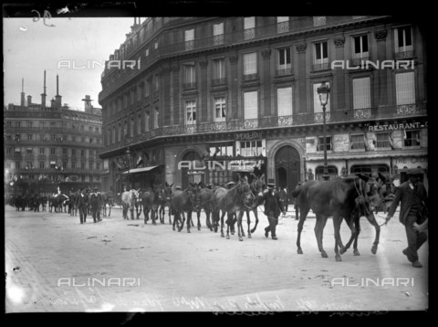 RVA-S-061278-0001 - World War One. First day of the mobilization in Paris. Convoy of mules. Paris (France), 2nd August 1914. - Data dello scatto: 02/08/1914 - Ede / Excelsior â L'Equipe / Roger-Viollet/Alinari