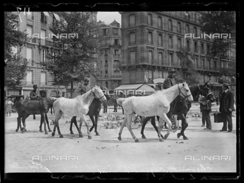 RVA-S-061410-0009 - World War One. Second day of mobilization in Paris. Requisitioning horses. Paris (France), 3rd August 1914. - Data dello scatto: 03/08/1914 - Ede / Excelsior - L'Equipe / Roger-Viollet/Alinari